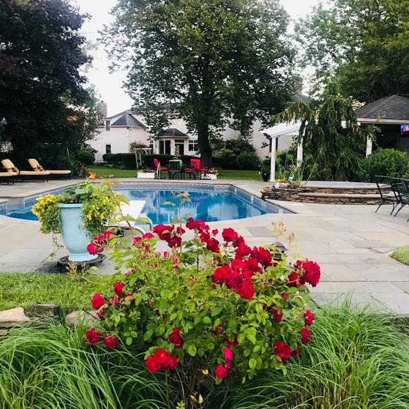 Meet your Posher, Meg brennan - Picture 7 of 12